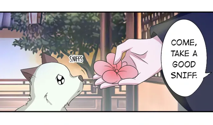 How to Raise a Cross Dressing Master (Colored) Chapter 41 page 10 - 