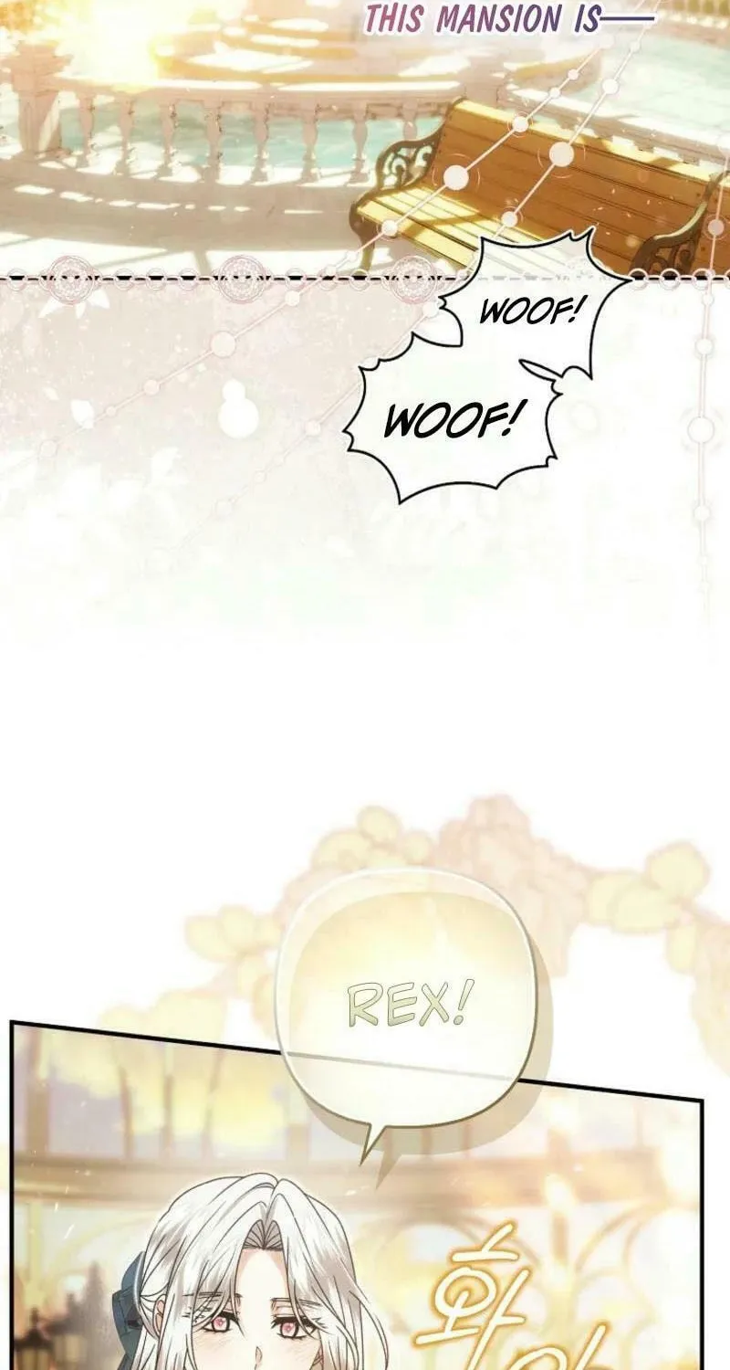 How to Reject a Perfect Marriage Chapter 16 page 67 - 
