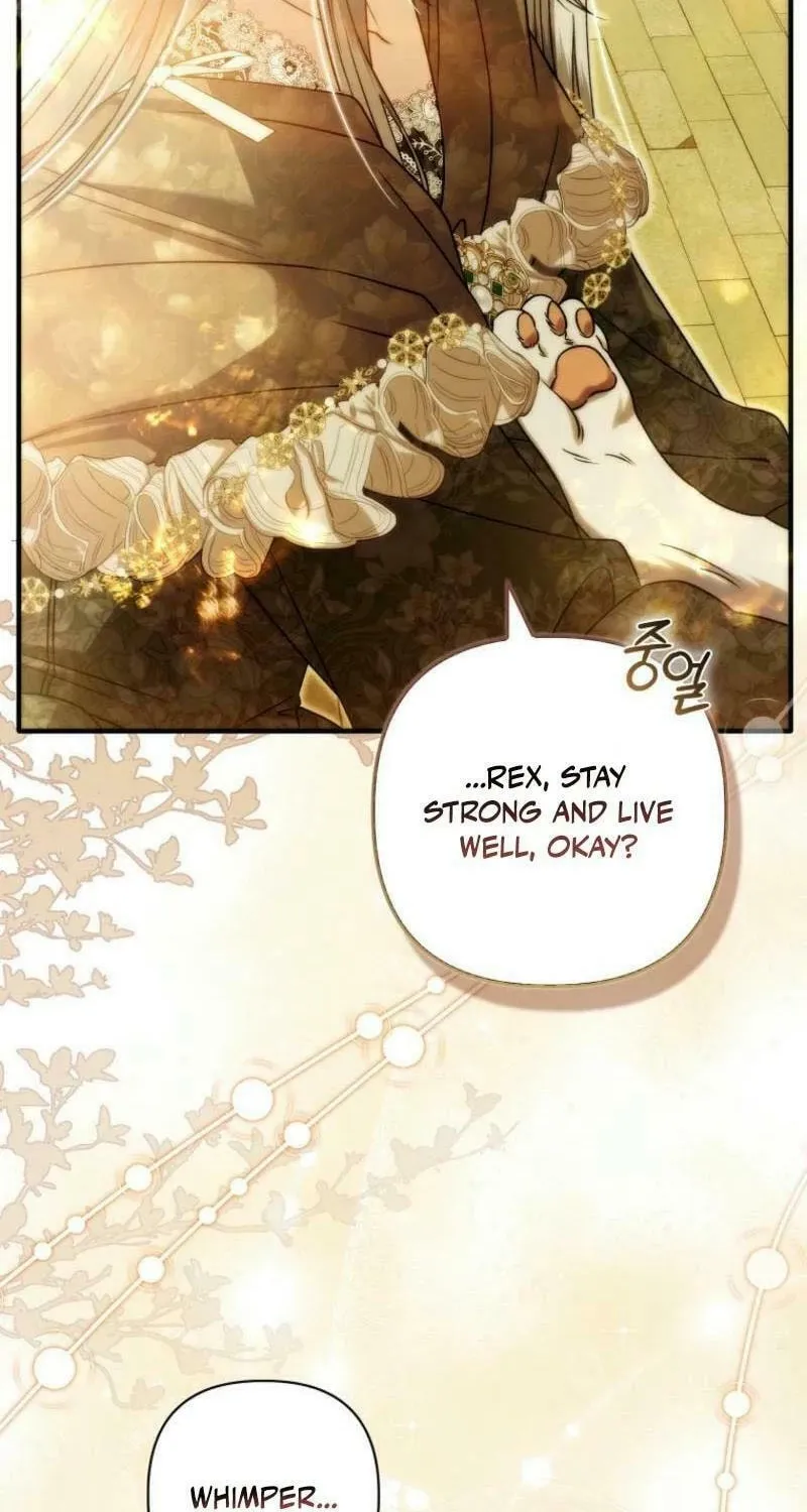 How to Reject a Perfect Marriage Chapter 16 page 77 - 