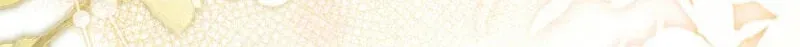 How to Reject a Perfect Marriage Chapter 2.1 page 49 - 