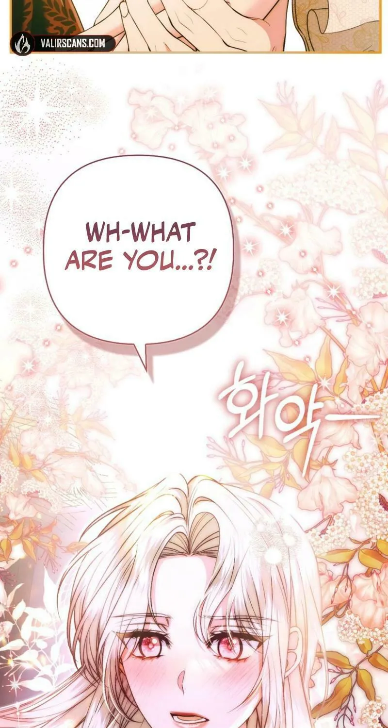 How to Reject a Perfect Marriage Chapter 31 page 71 - 