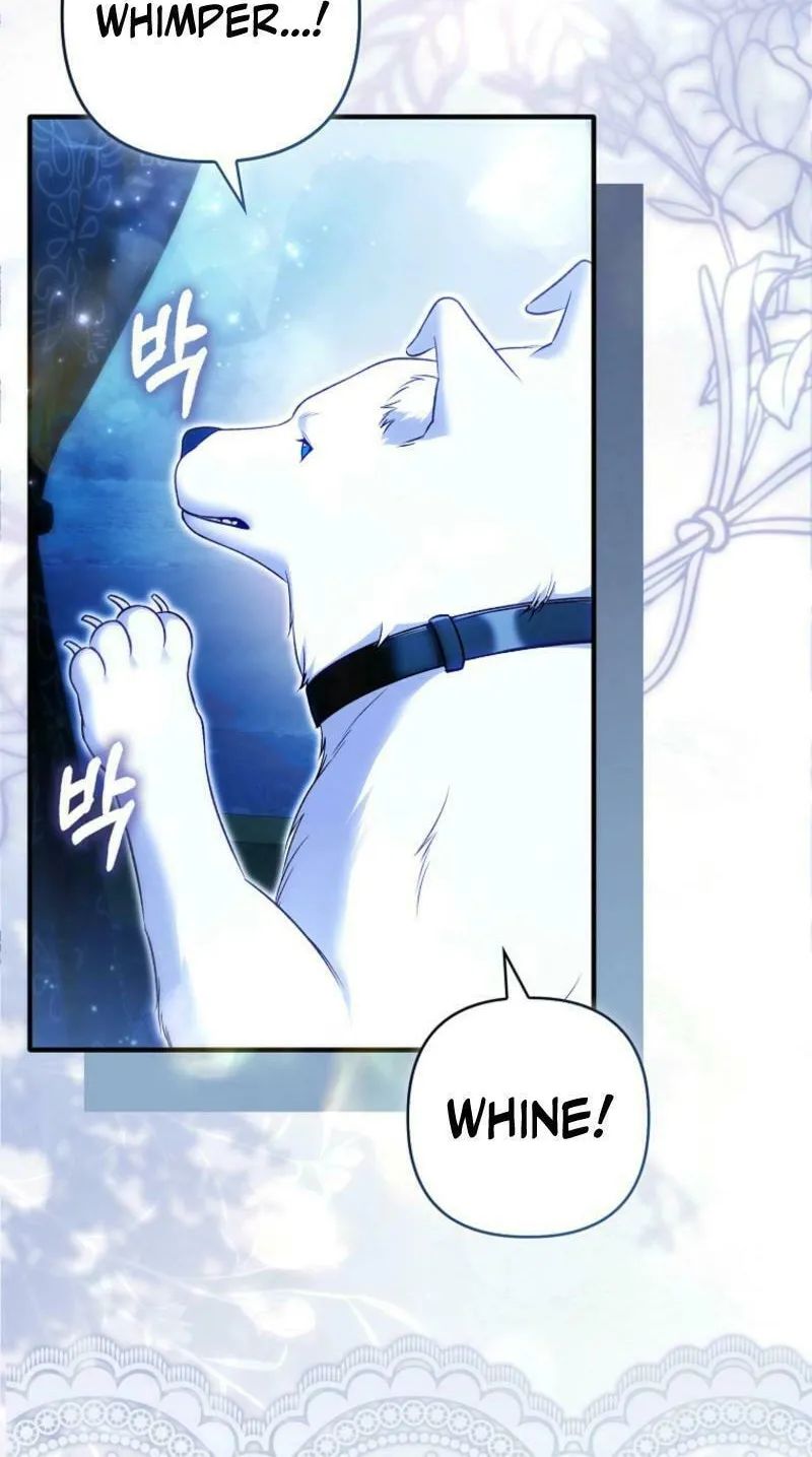 How to Reject a Perfect Marriage Chapter 31 page 76 - 