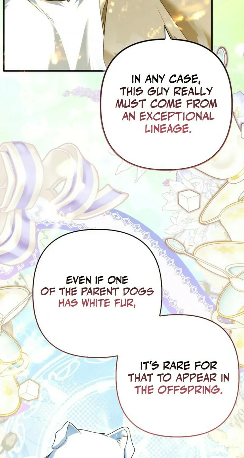 How to Reject a Perfect Marriage Chapter 34 page 43 - 