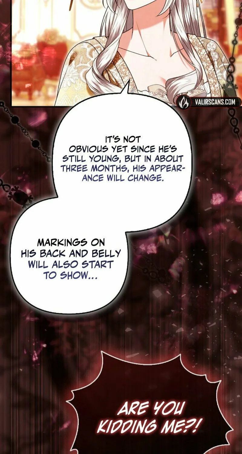How to Reject a Perfect Marriage Chapter 35 page 19 - 