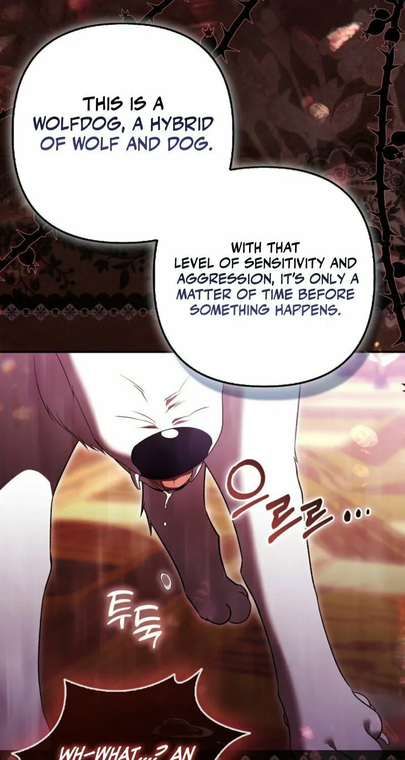 How to Reject a Perfect Marriage Chapter 35 page 22 - 