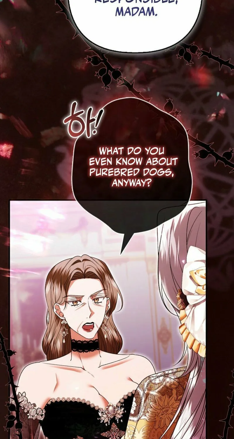 How to Reject a Perfect Marriage Chapter 35 page 25 - 