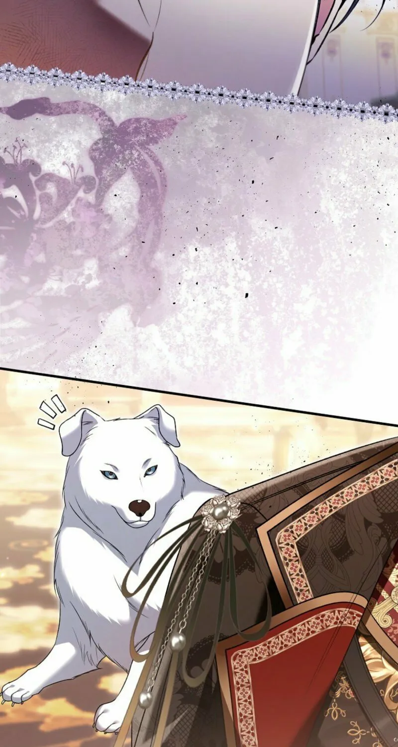 How to Reject a Perfect Marriage Chapter 36 page 11 - 