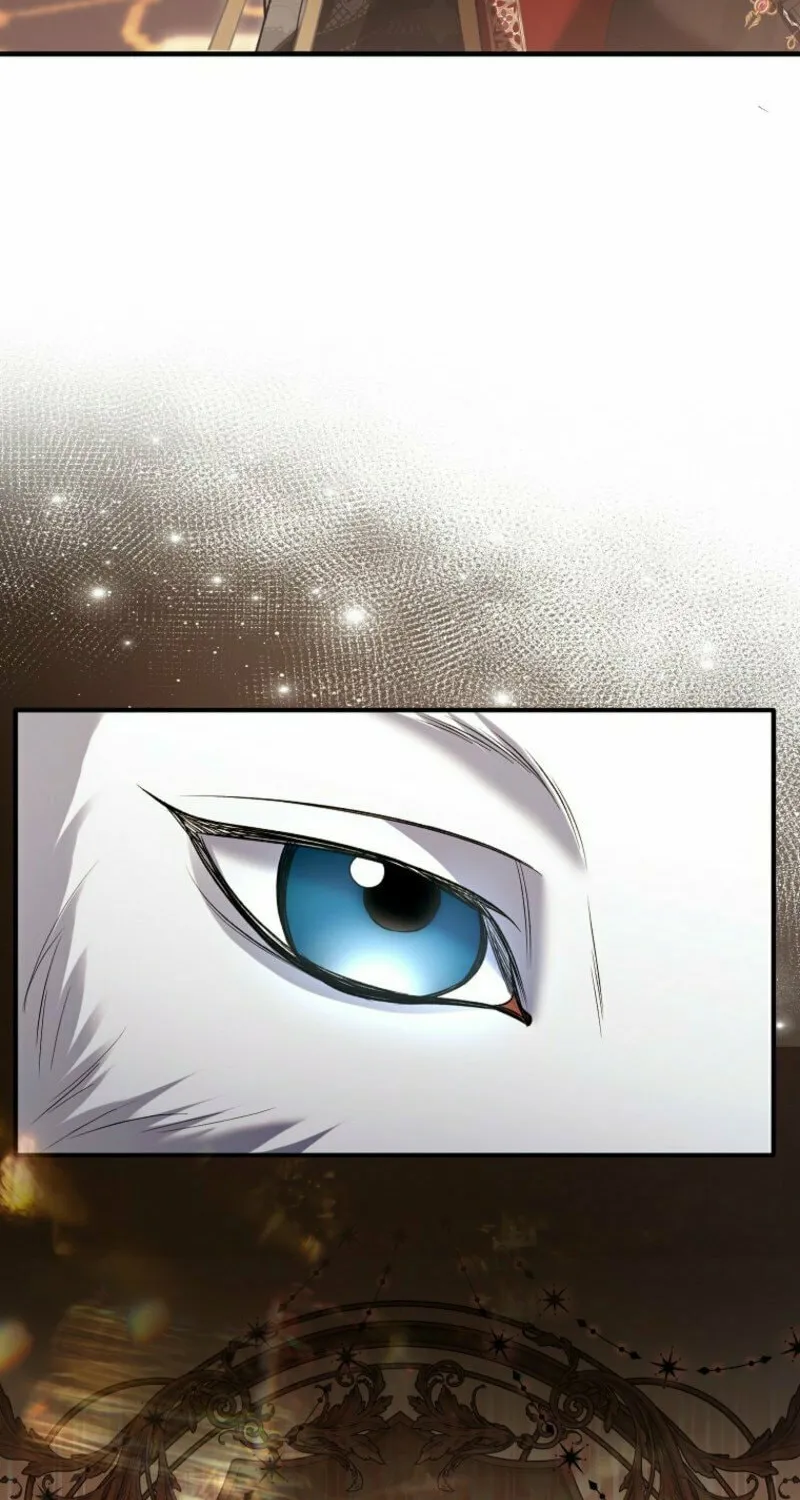 How to Reject a Perfect Marriage Chapter 36 page 12 - 
