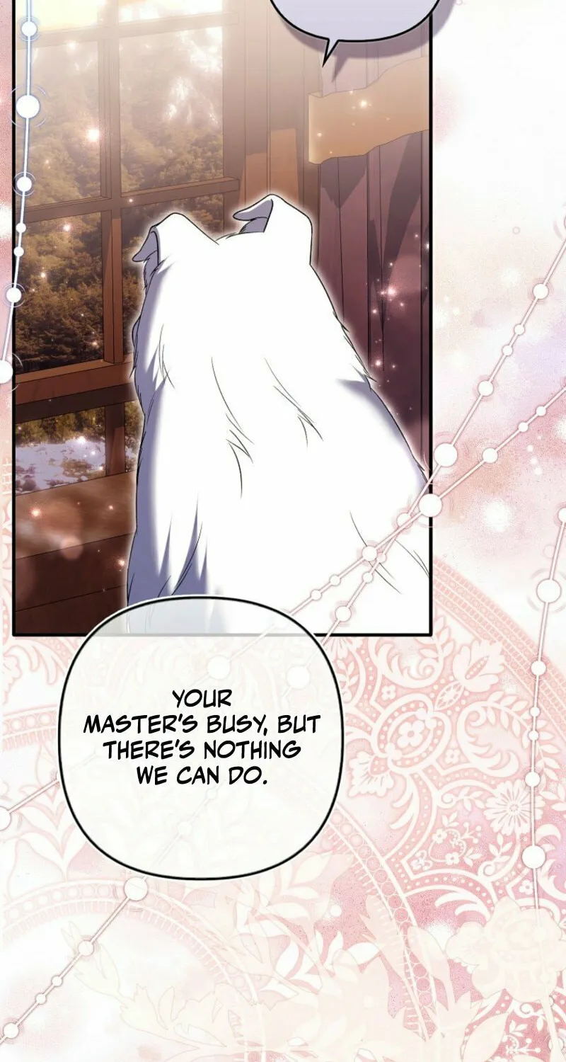 How to Reject a Perfect Marriage Chapter 39 page 81 - 