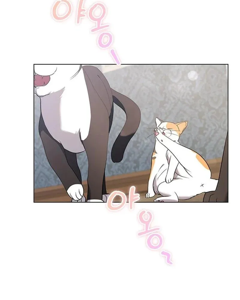 How to Send My Husband to the Abyss Chapter 12 page 18 - 