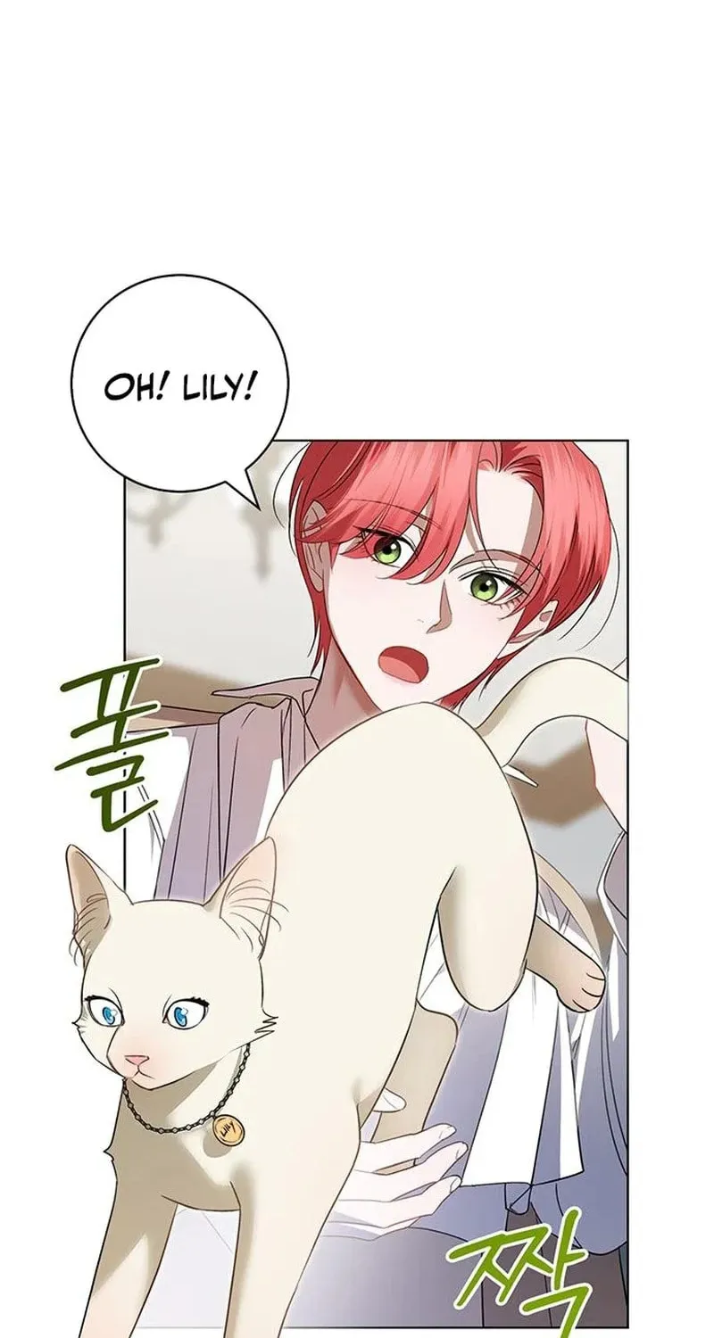 How to Send My Husband to the Abyss Chapter 12 page 26 - 