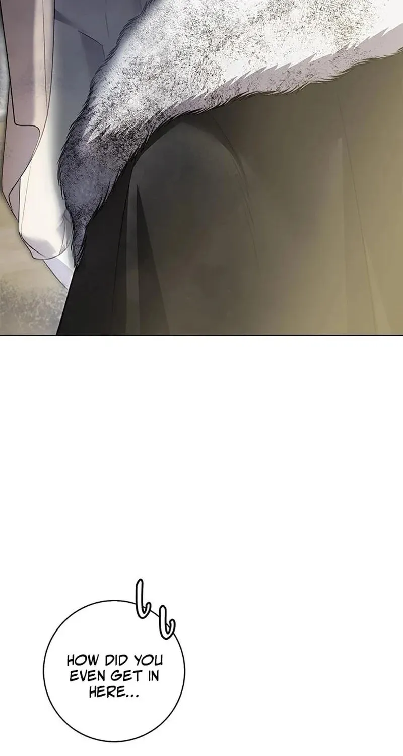 How to Send My Husband to the Abyss Chapter 12 page 8 - 
