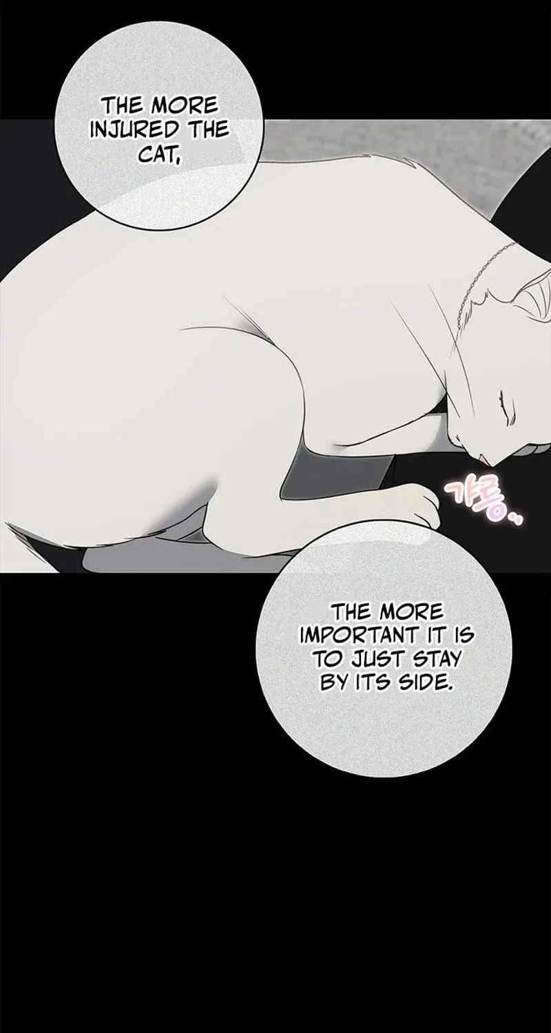 How to Send My Husband to the Abyss Chapter 12 page 85 - 