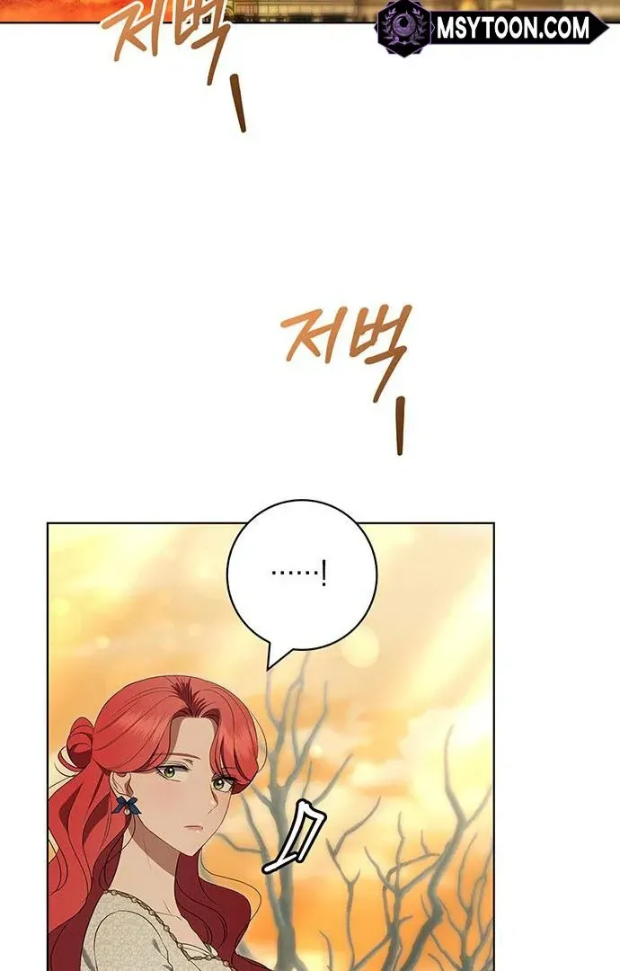 How to Send My Husband to the Abyss Chapter 15.1 page 41 - 