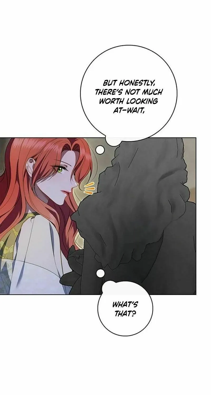 How to Send My Husband to the Abyss Chapter 20 page 44 - 