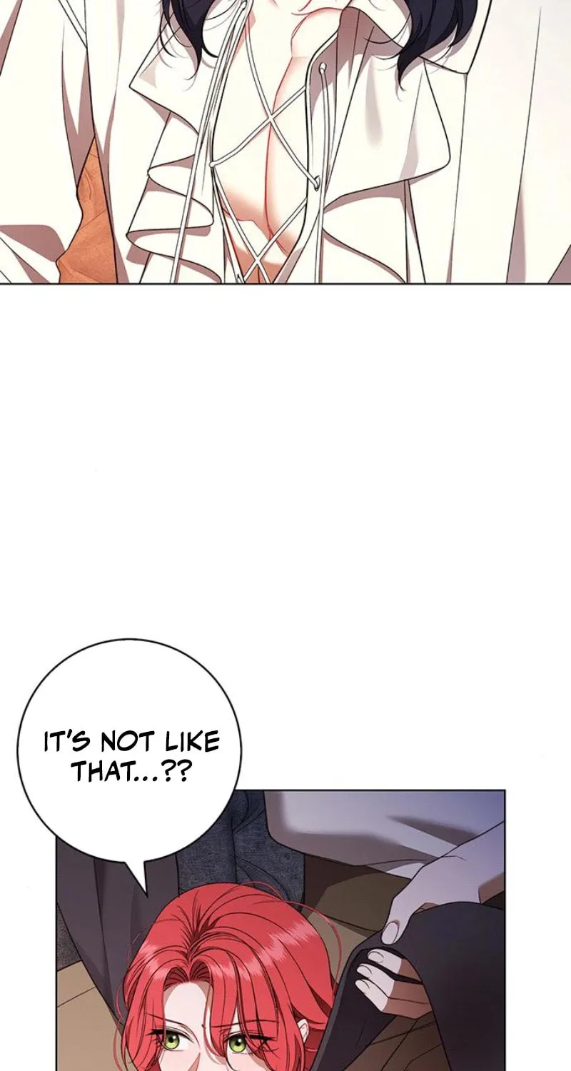 How to Send My Husband to the Abyss Chapter 26 page 37 - 