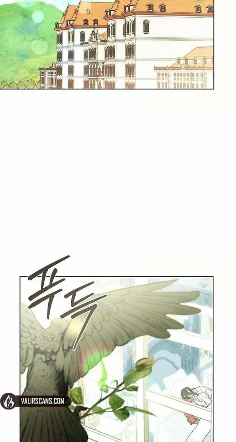 How to Send My Husband to the Abyss Chapter 28 page 84 - 