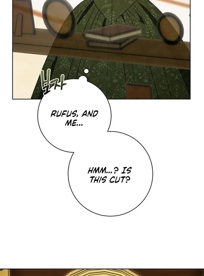 How to Send My Husband to the Abyss Chapter 35 page 30 - 