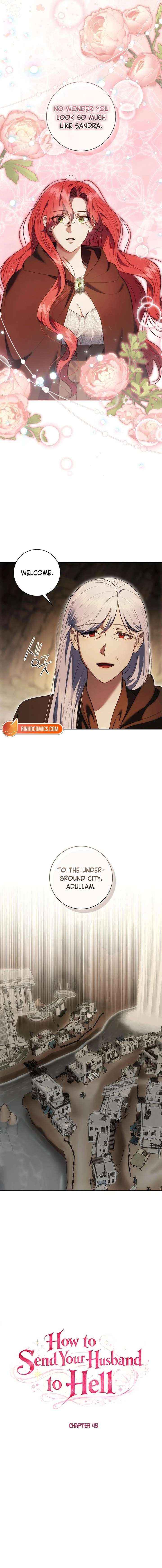 How to Send My Husband to the Abyss Chapter 45 page 2 - 