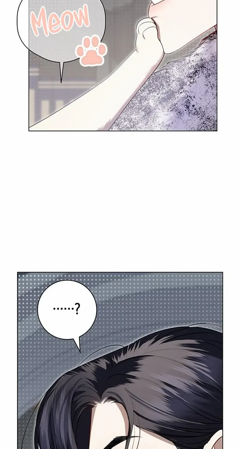 How to Send Your Husband to Hell Chapter 12 page 12 - 