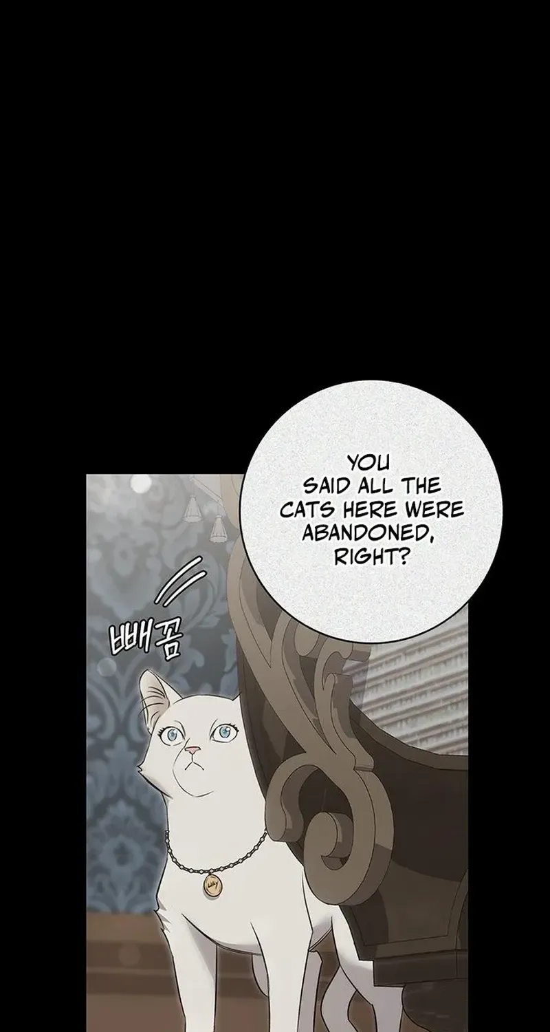 How to Send Your Husband to Hell Chapter 12 page 64 - 