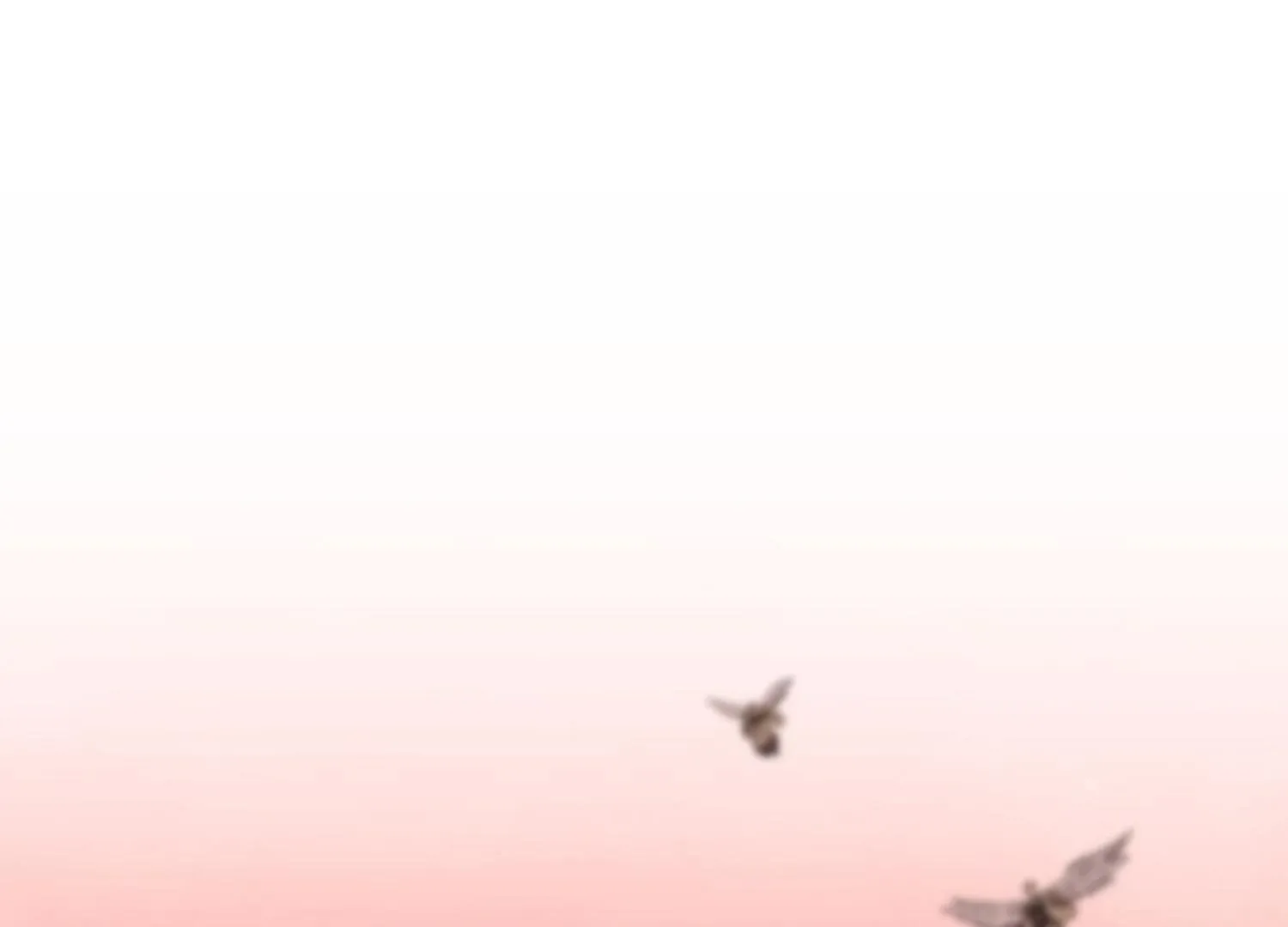 How to Survive as a Player Chapter 63 page 56 - 