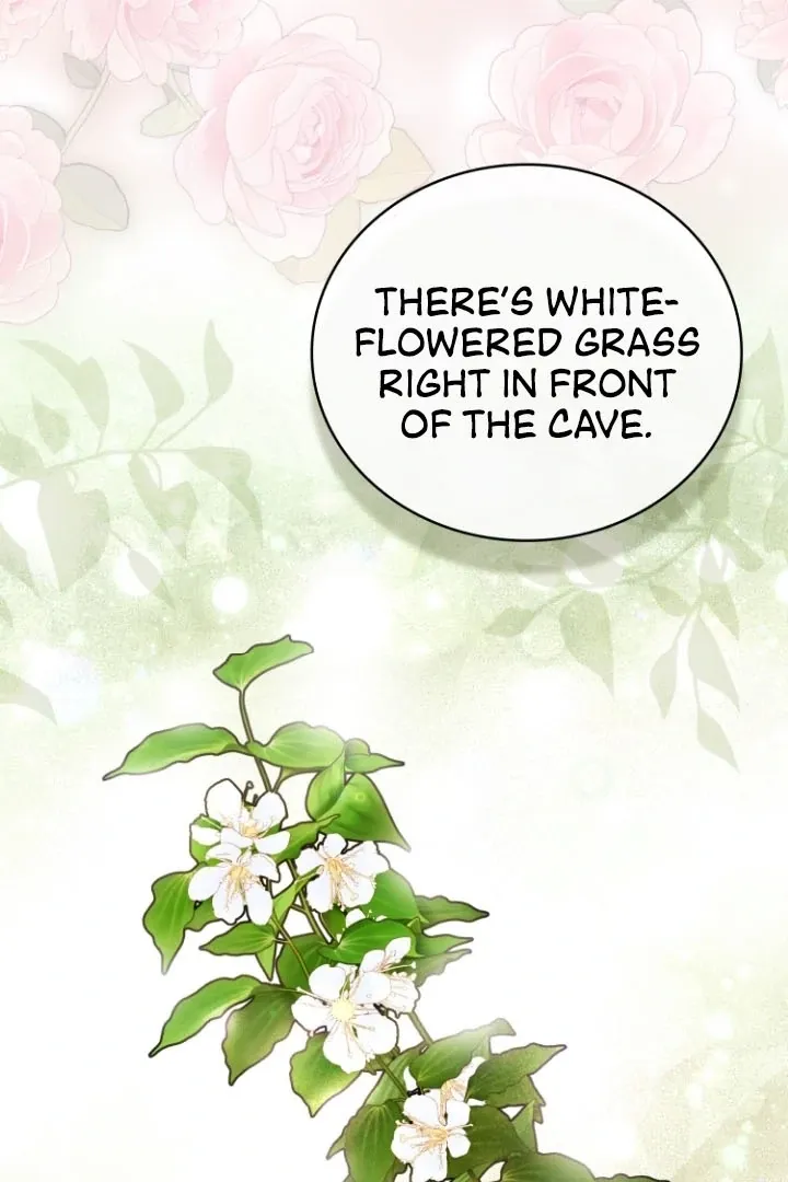 How to Survive on an Island Chapter 4 page 4 - 