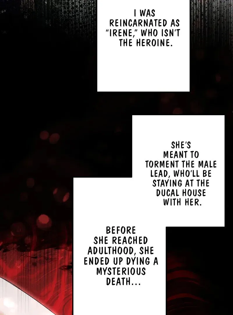 How to Turn a Gentle Male Lead Into an Obsessive Male Lead Chapter 1 page 32 - 