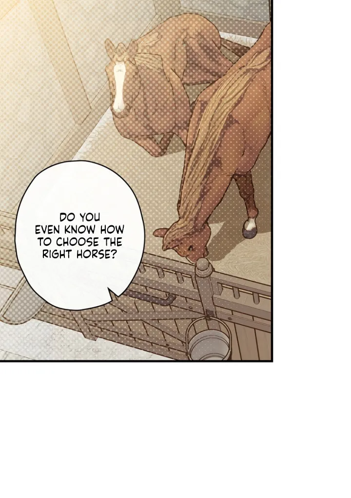 How to Win My Husband Over Chapter 15 page 36 - 