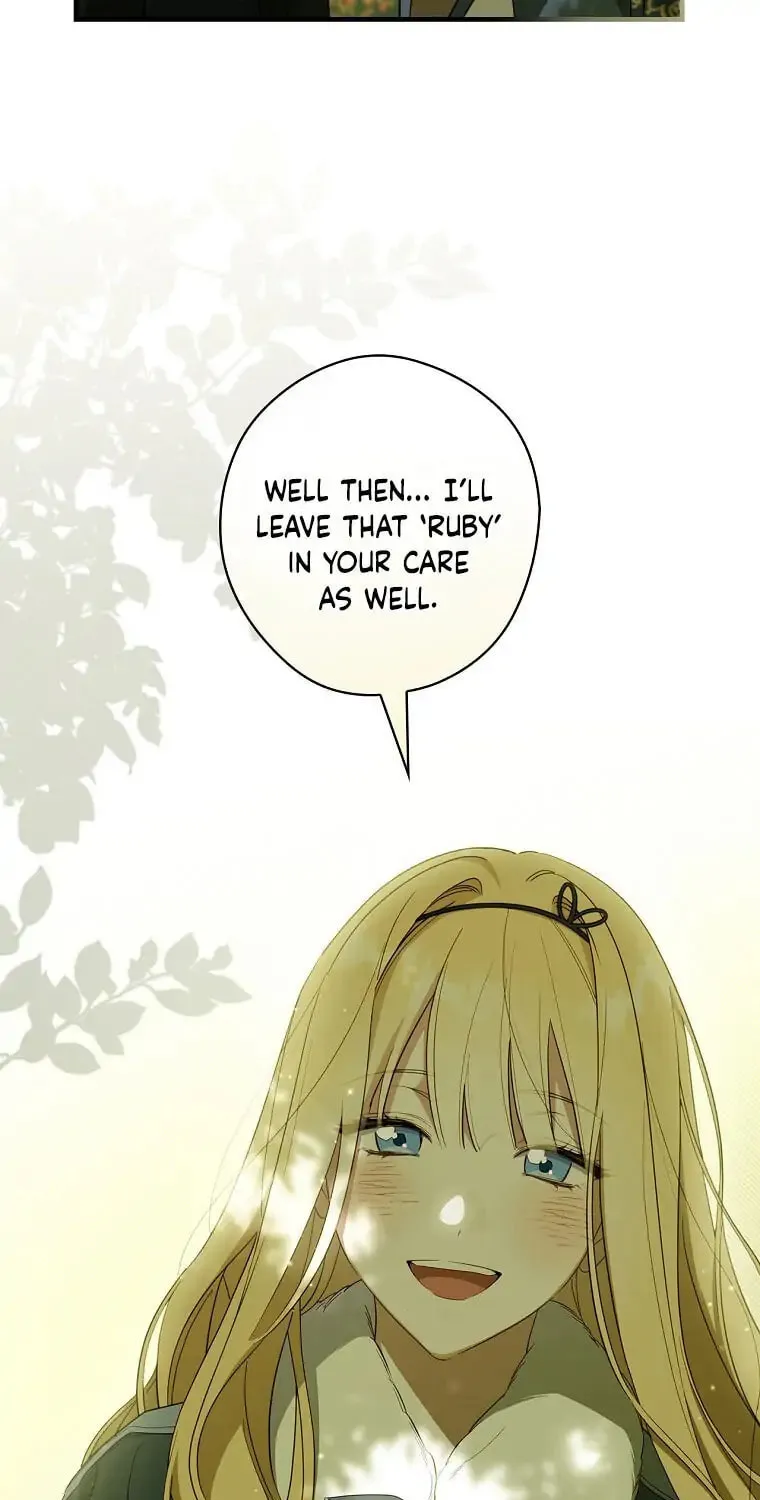 How to Win My Husband Over Chapter 45 page 16 - 