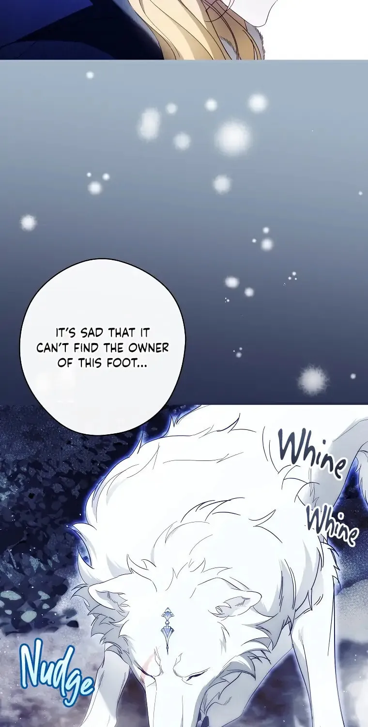 How to Win My Husband Over Chapter 63 page 74 - 