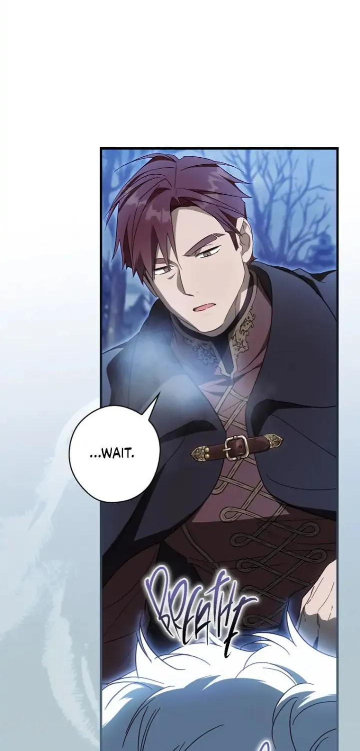 How to Win My Husband Over Chapter 64 page 74 - 