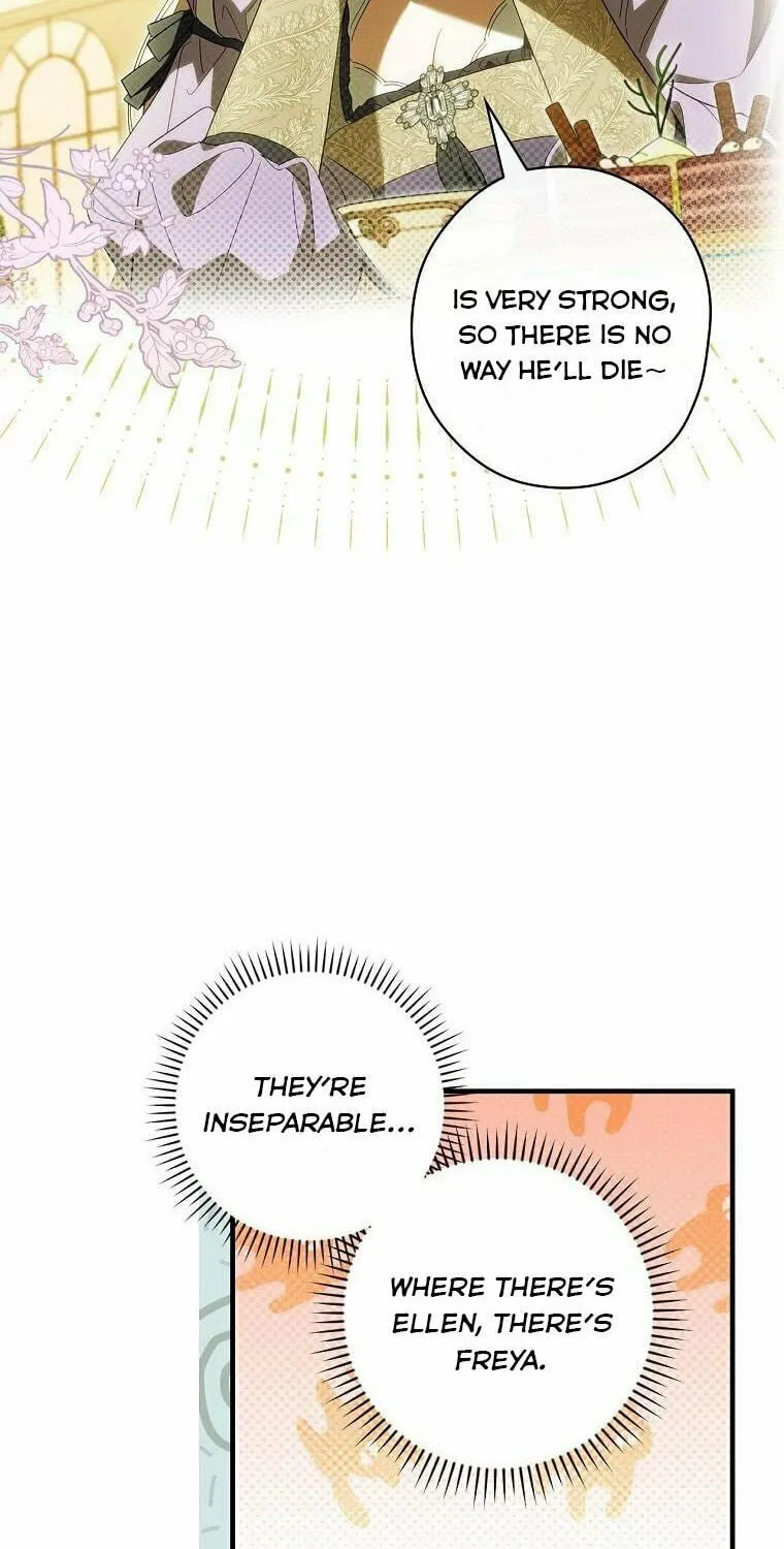 How to Win My Husband Over Chapter 67.5 page 3 - 