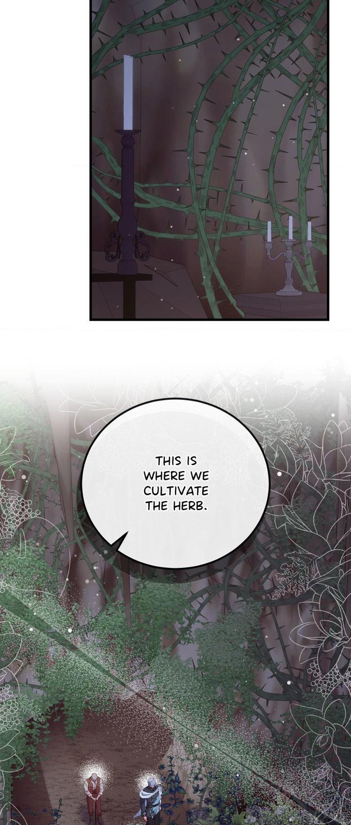 Hunks, Harems, and Hardcore Habits Chapter 53 page 44 - 