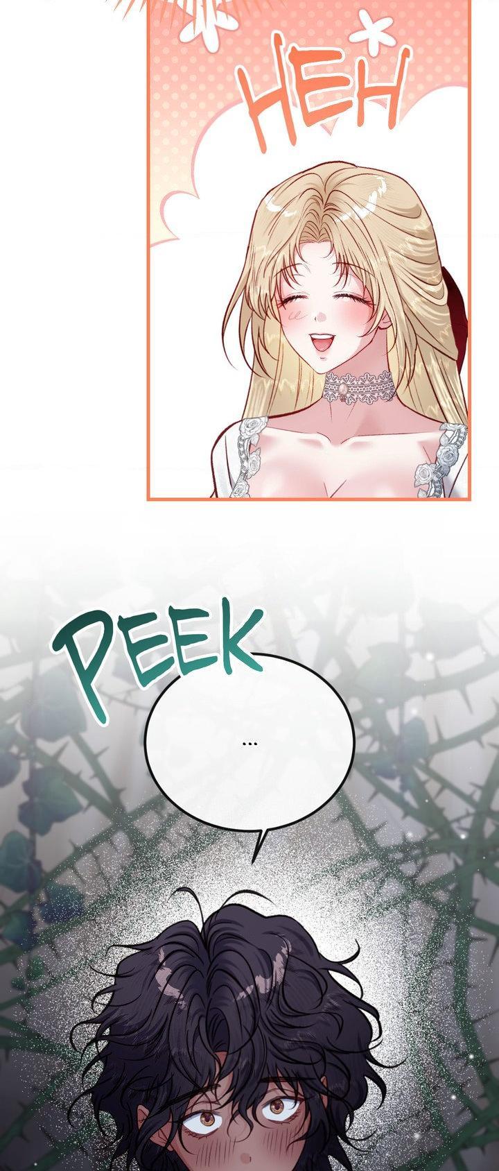 Hunks, Harems, and Hardcore Habits Chapter 53 page 67 - 