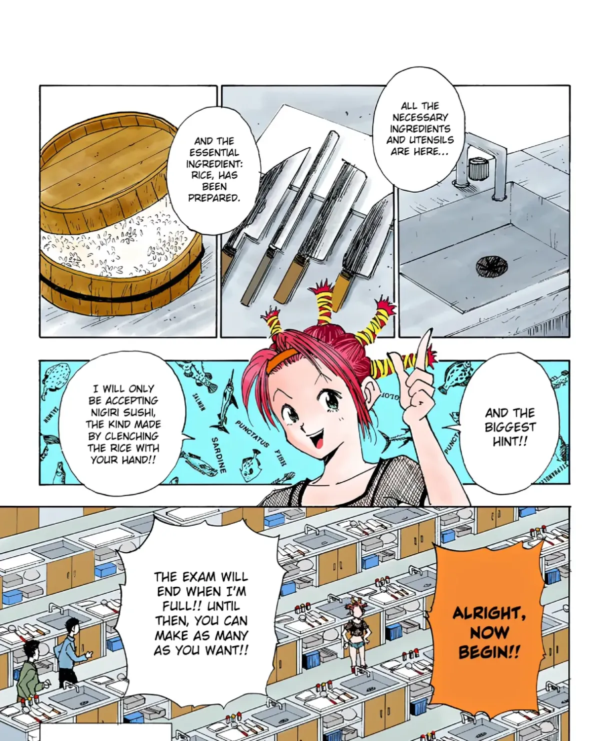 HUNTER x HUNTER (Official Colored) Chapter 11 page 13 - 