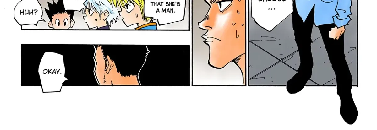 HUNTER x HUNTER (Official Colored) Chapter 20 page 30 - 