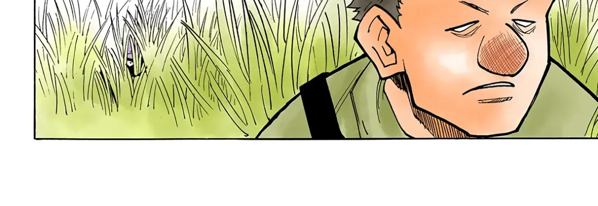 HUNTER x HUNTER (Official Colored) Chapter 24 page 8 - 