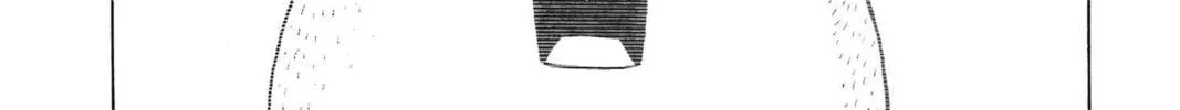 Hunter x Hunter Chapter 366 page 4 - 