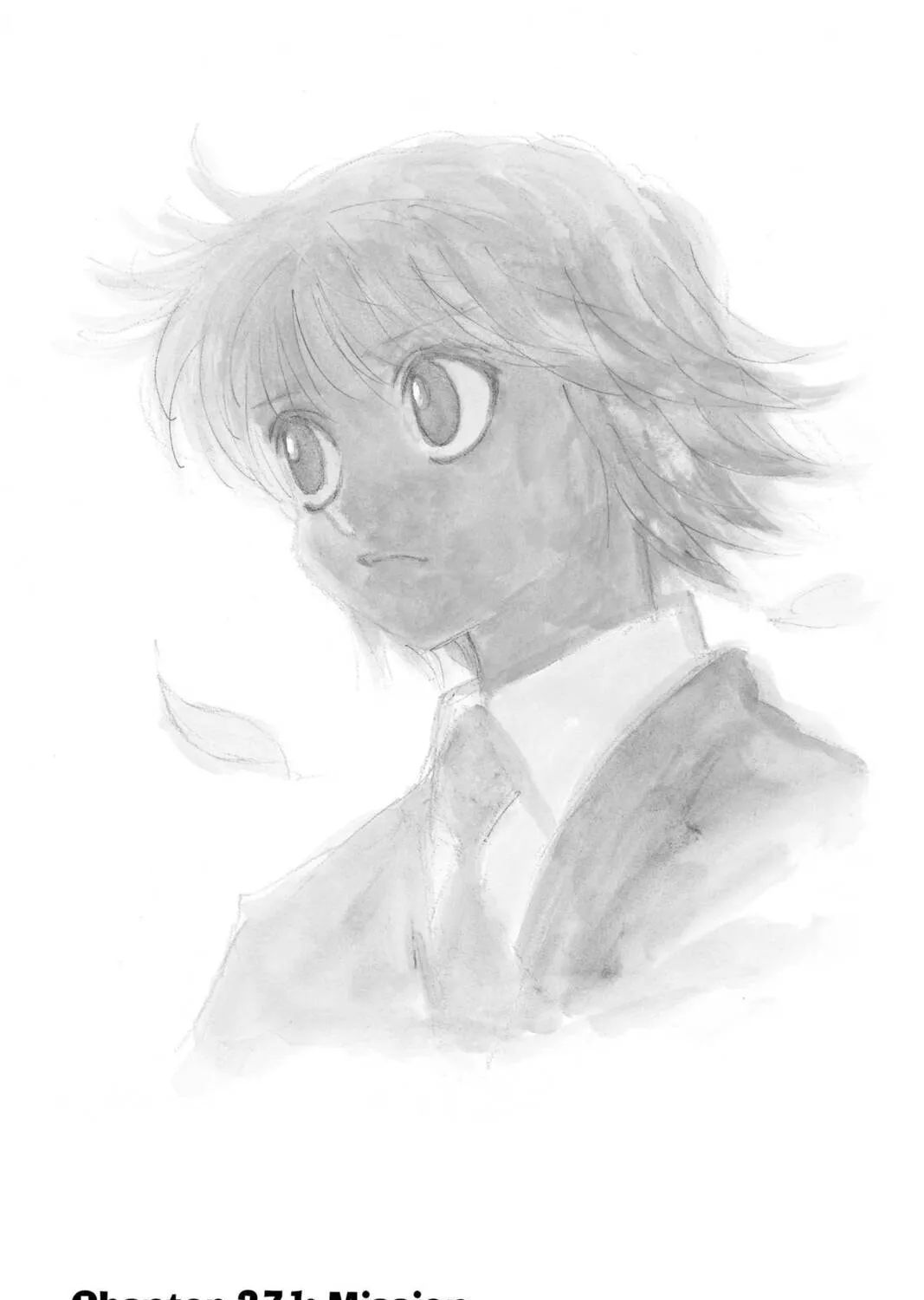 Hunter x Hunter Chapter 371 page 1 - 