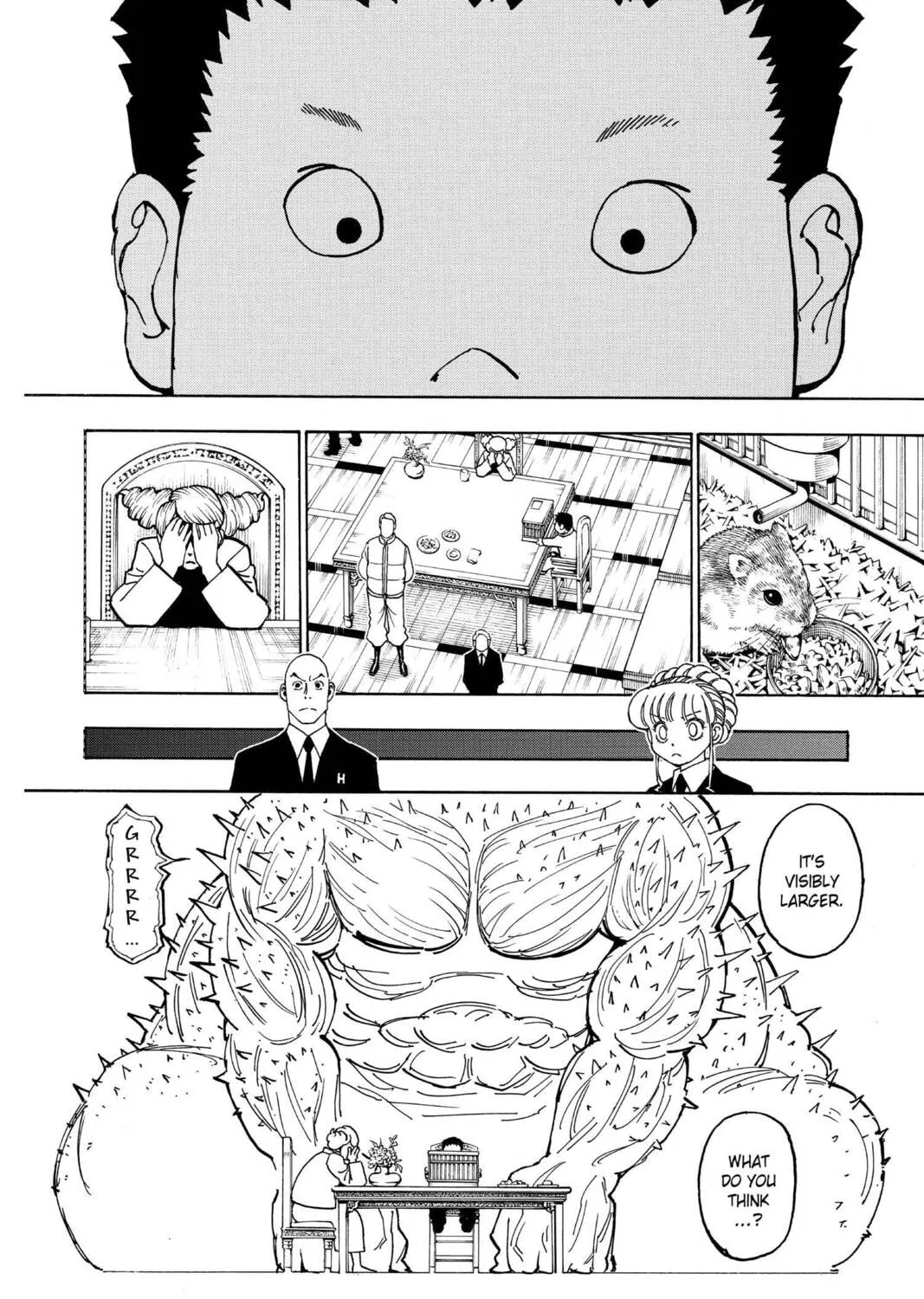 Hunter x Hunter Chapter 372 page 7 - 