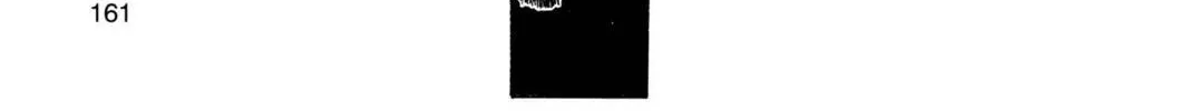 Hunter x Hunter Chapter 378 page 26 - 