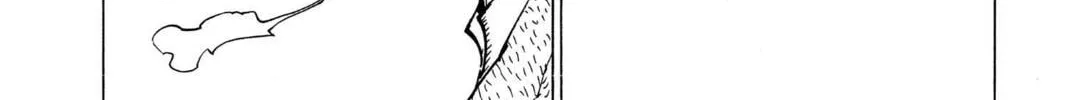 Hunter x Hunter Chapter 379 page 32 - 
