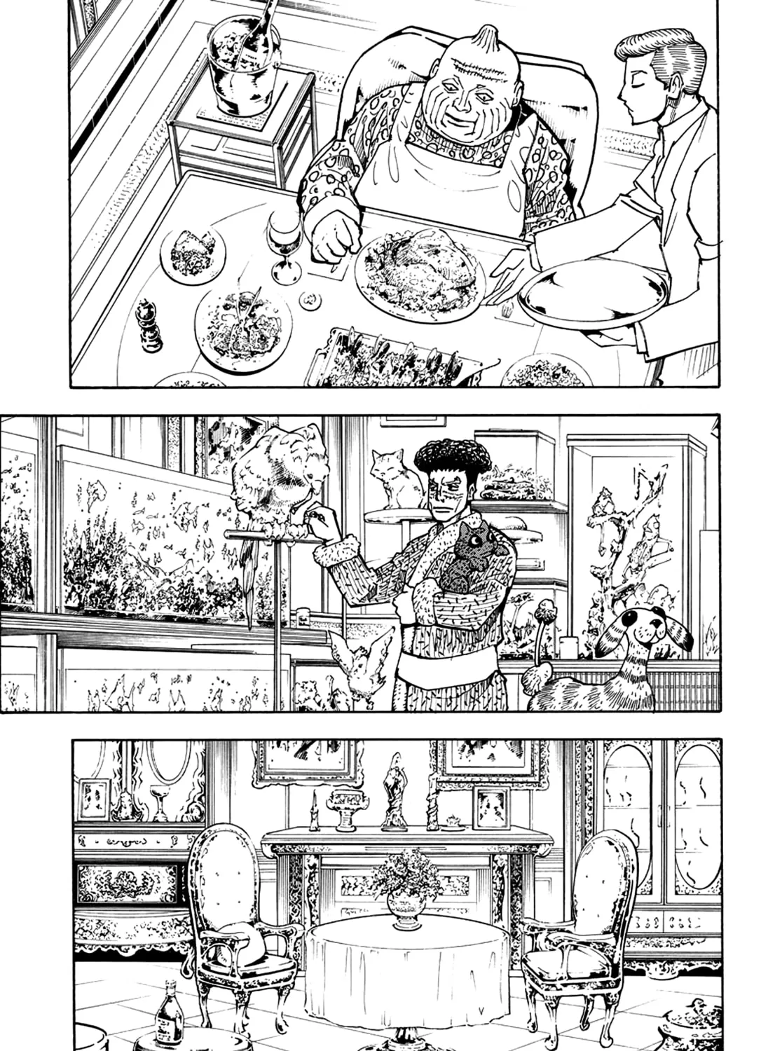 Hunter x Hunter Chapter 384 page 13 - 