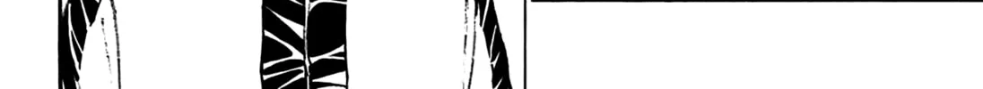 Hunter x Hunter Chapter 384 page 4 - 