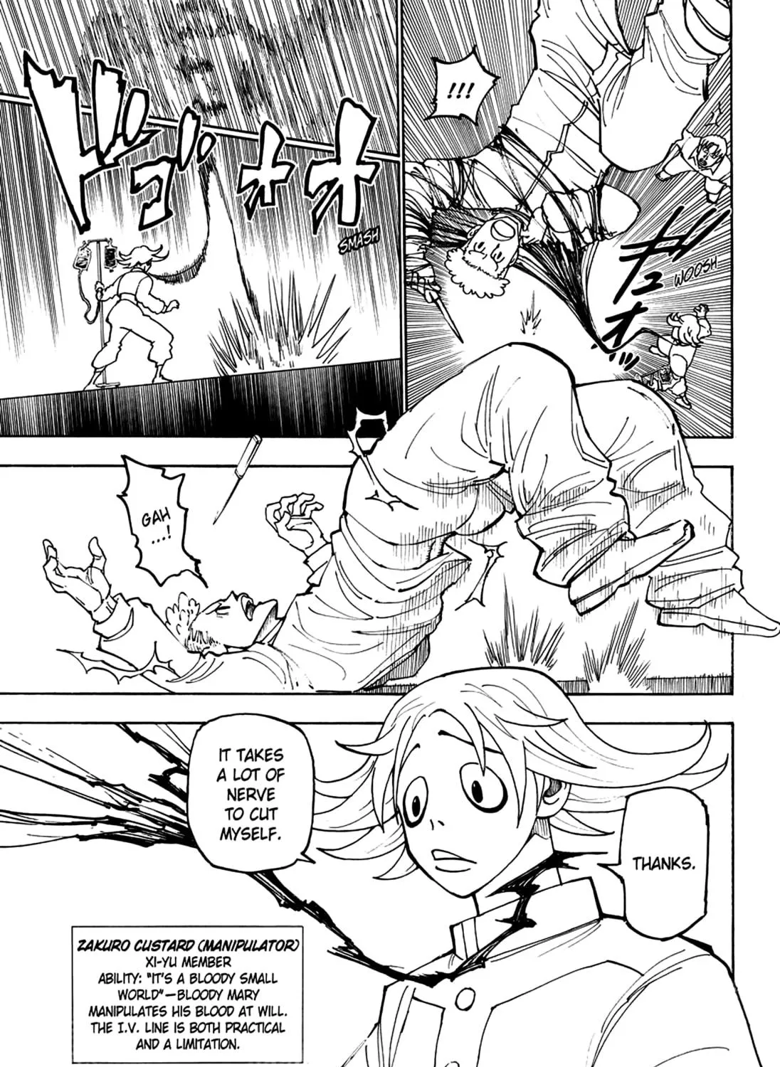 Hunter x Hunter Chapter 390 page 29 - 