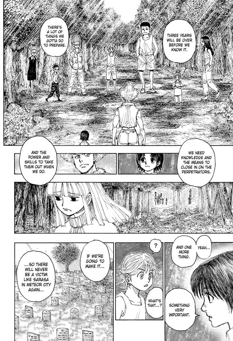 Hunter x Hunter Chapter 397 page 17 - 