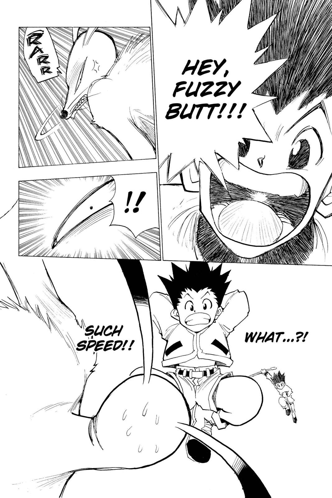 Hunter x Hunter Chapter 4 page 10 - 