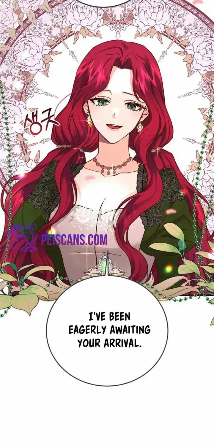Husband Replacement Chapter 14 page 27 - 