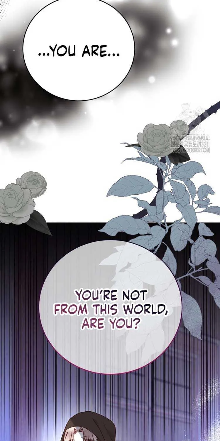 Husband Replacement Chapter 15 page 73 - 